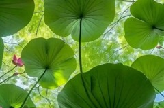 欧冠小组赛焦点战：利物浦对拜仁，巴黎大胜，国米领跑积分榜